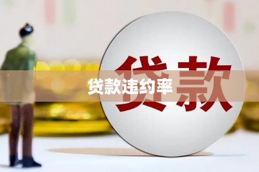 宜州贷款违约率