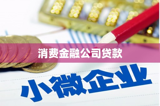 宜州消费金融公司贷款