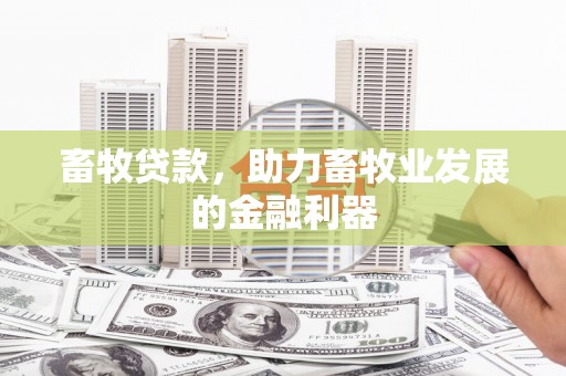 宜州畜牧贷款，助力畜牧业发展的金融利器