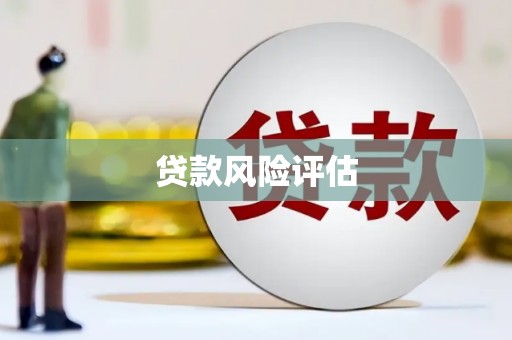 宜州贷款风险评估