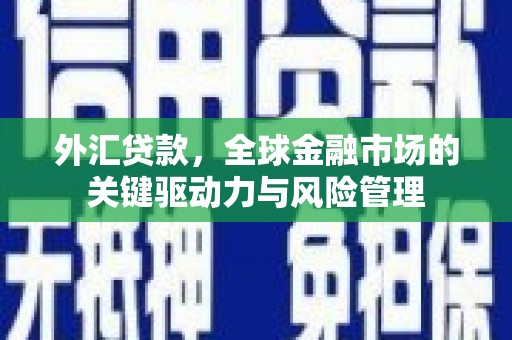宜州外汇贷款，全球金融市场的关键驱动力与风险管理