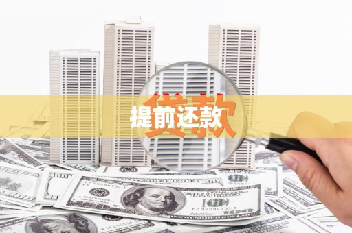 宜州提前还款