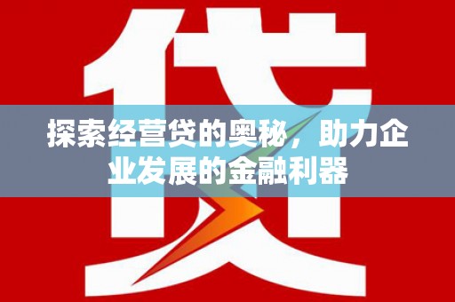 宜州探索经营贷的奥秘，助力企业发展的金融利器