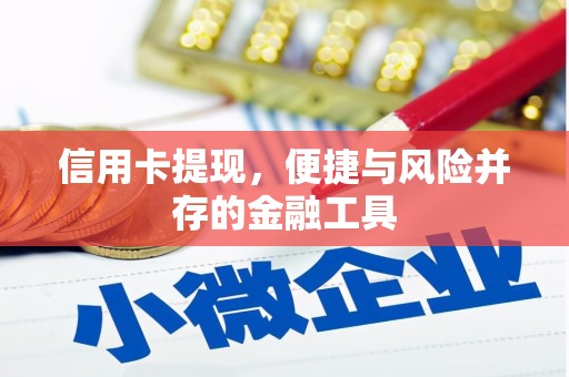 宜州信用卡提现，便捷与风险并存的金融工具