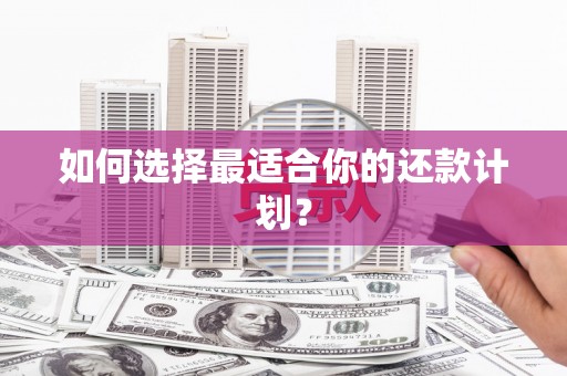 宜州如何选择最适合你的还款计划？