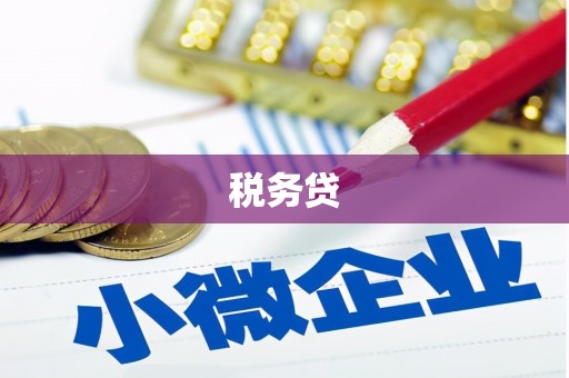 宜州税务贷
