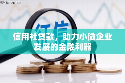宜州信用社贷款，助力小微企业发展的金融利器