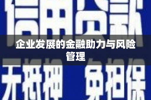 宜州企业发展的金融助力与风险管理