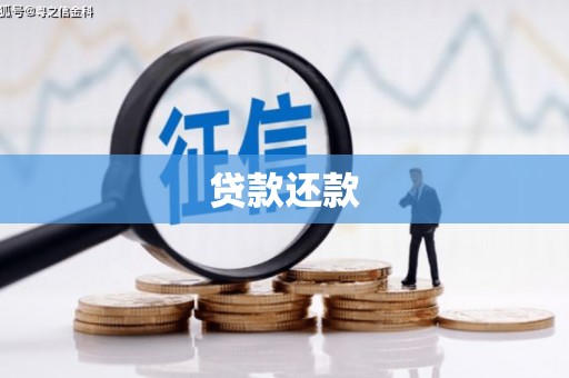 宜州贷款还款