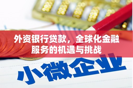 宜州外资银行贷款，全球化金融服务的机遇与挑战