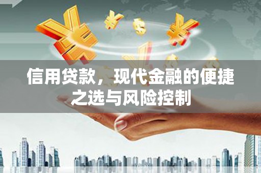 宜州信用贷款，现代金融的便捷之选与风险控制
