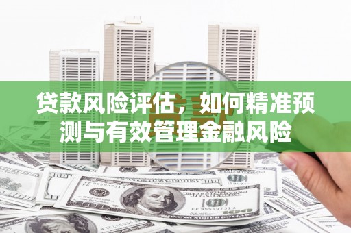 宜州贷款风险评估，如何精准预测与有效管理金融风险