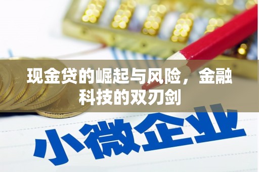 宜州现金贷的崛起与风险，金融科技的双刃剑