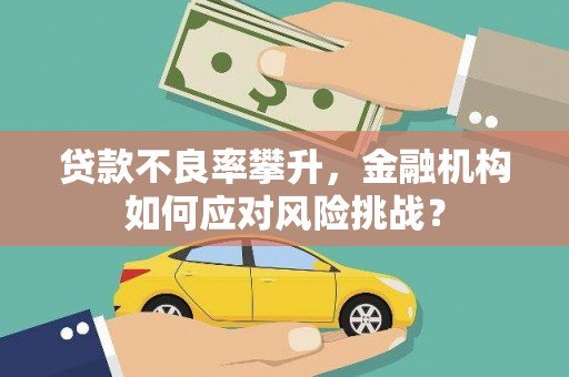 宜州贷款不良率攀升，金融机构如何应对风险挑战？
