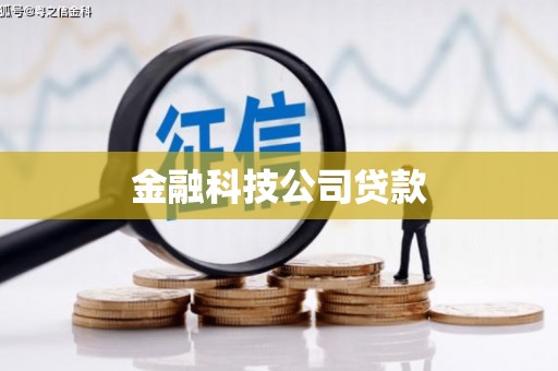 宜州金融科技公司贷款
