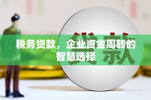 宜州税务贷款，企业资金周转的智慧选择
