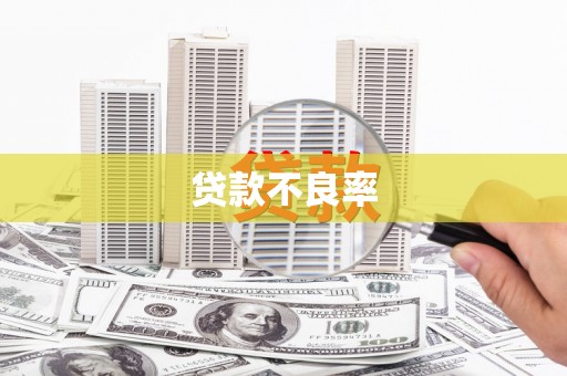 宜州贷款不良率