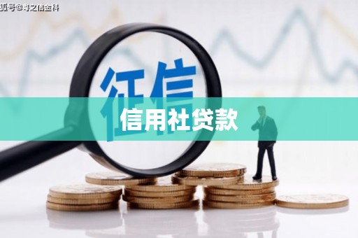 宜州信用社贷款