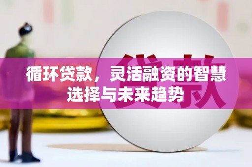 宜州循环贷款，灵活融资的智慧选择与未来趋势