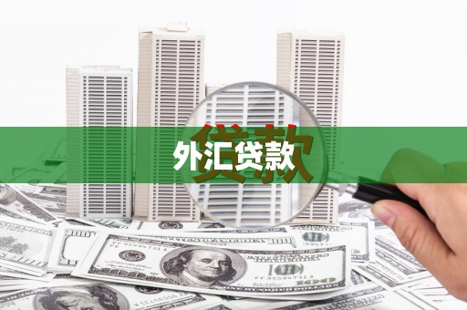 宜州外汇贷款