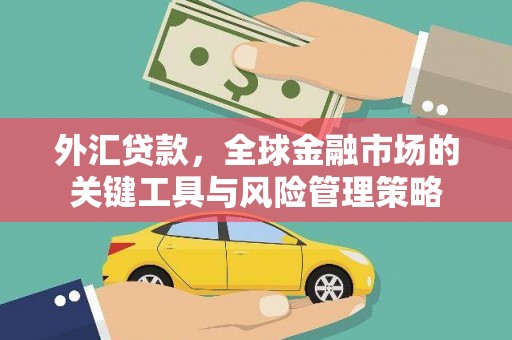 宜州外汇贷款，全球金融市场的关键工具与风险管理策略