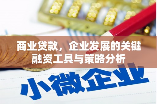 宜州商业贷款，企业发展的关键融资工具与策略分析