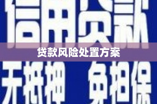 宜州贷款风险处置方案