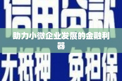 宜州助力小微企业发展的金融利器