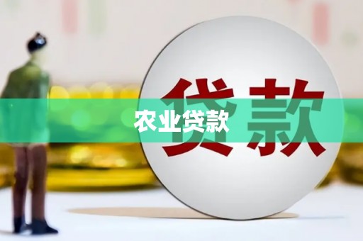 宜州农业贷款