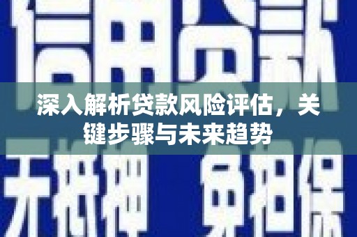 宜州深入解析贷款风险评估，关键步骤与未来趋势