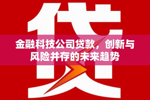 宜州金融科技公司贷款，创新与风险并存的未来趋势