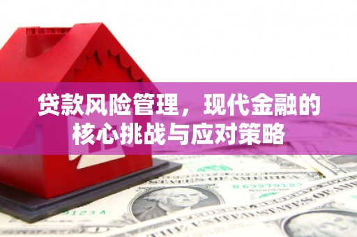 宜州贷款风险管理，现代金融的核心挑战与应对策略