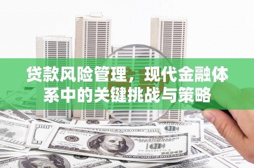 宜州贷款风险管理，现代金融体系中的关键挑战与策略