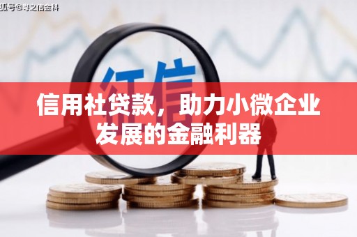 宜州信用社贷款，助力小微企业发展的金融利器