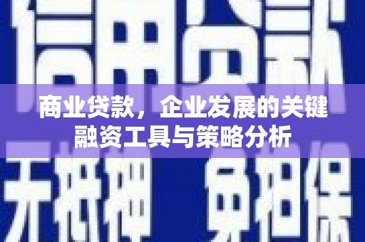 宜州商业贷款，企业发展的关键融资工具与策略分析
