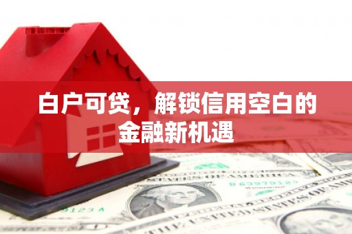 宜州白户可贷，解锁信用空白的金融新机遇