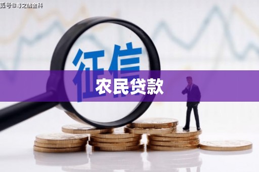宜州农民贷款
