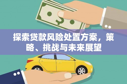宜州探索贷款风险处置方案，策略、挑战与未来展望