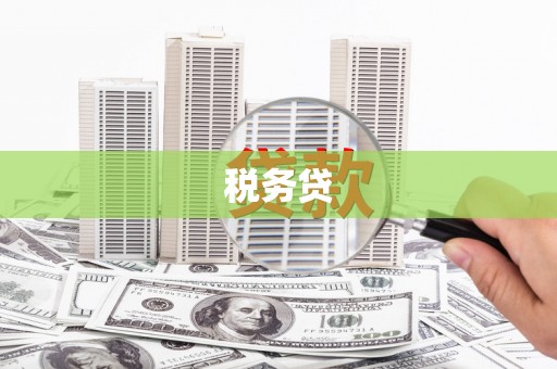 宜州税务贷