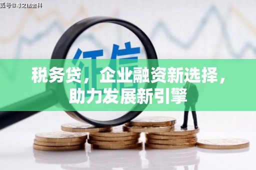 宜州税务贷，企业融资新选择，助力发展新引擎