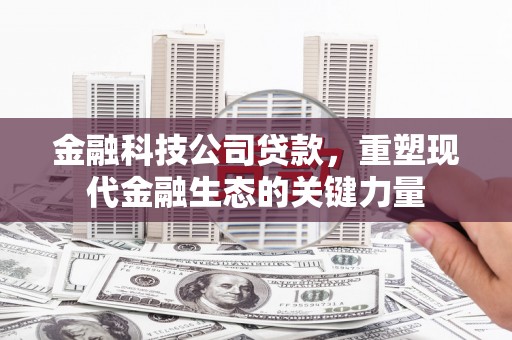 宜州金融科技公司贷款，重塑现代金融生态的关键力量