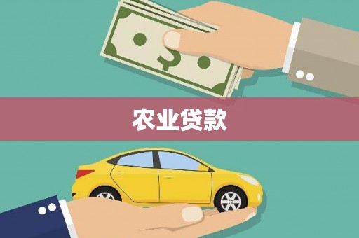 宜州农业贷款