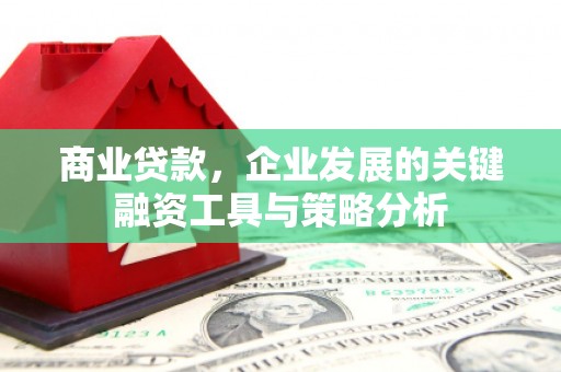 宜州商业贷款，企业发展的关键融资工具与策略分析