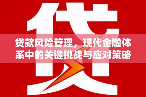 宜州贷款风险管理，现代金融体系中的关键挑战与应对策略