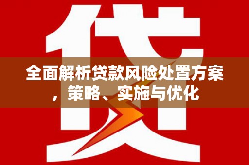 宜州全面解析贷款风险处置方案，策略、实施与优化