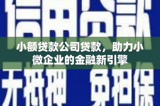 宜州小额贷款公司贷款，助力小微企业的金融新引擎