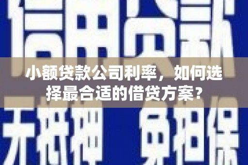 宜州小额贷款公司利率，如何选择最合适的借贷方案？