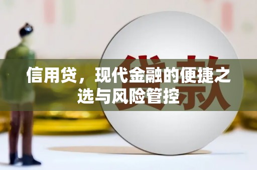 宜州信用贷，现代金融的便捷之选与风险管控