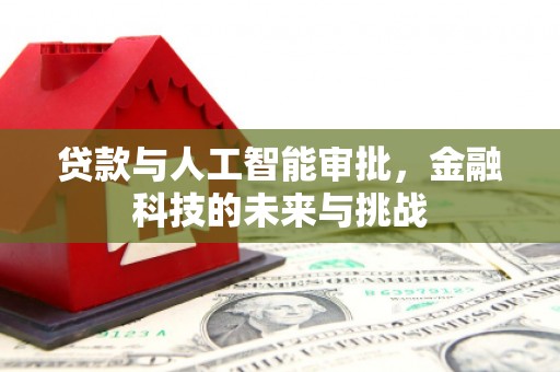 宜州贷款与人工智能审批，金融科技的未来与挑战
