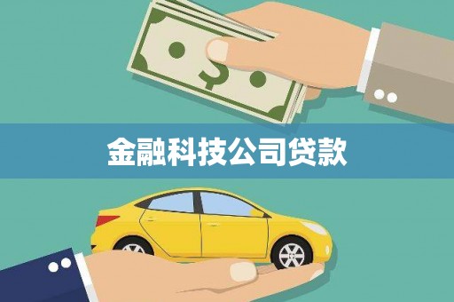 宜州金融科技公司贷款